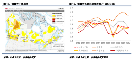 2025加菜籽种植面积仍有下调潜力  第10张