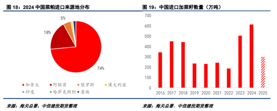 2025加菜籽种植面积仍有下调潜力  第12张